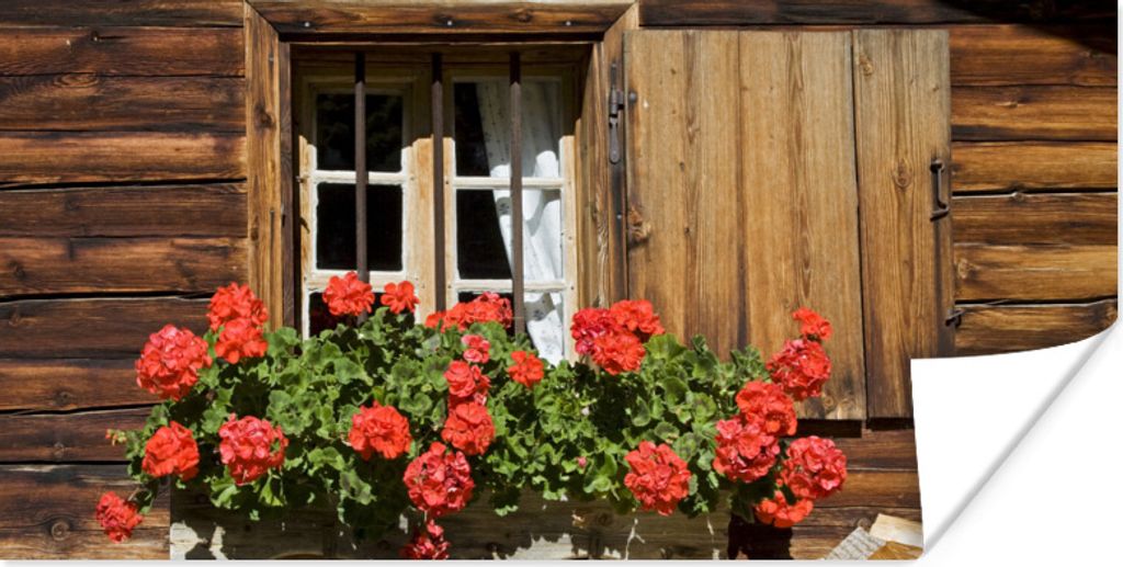 MuchoWow Poster Fenster mit blühenden Geranien 80x40 cm - Wanddeko