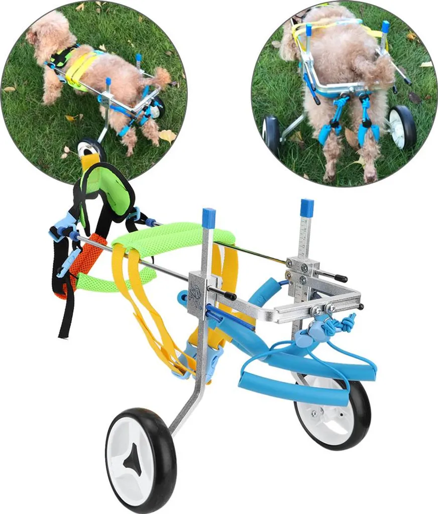 Solution paralysie chien : fauteuil roulant de mobilité avec soutien - 4