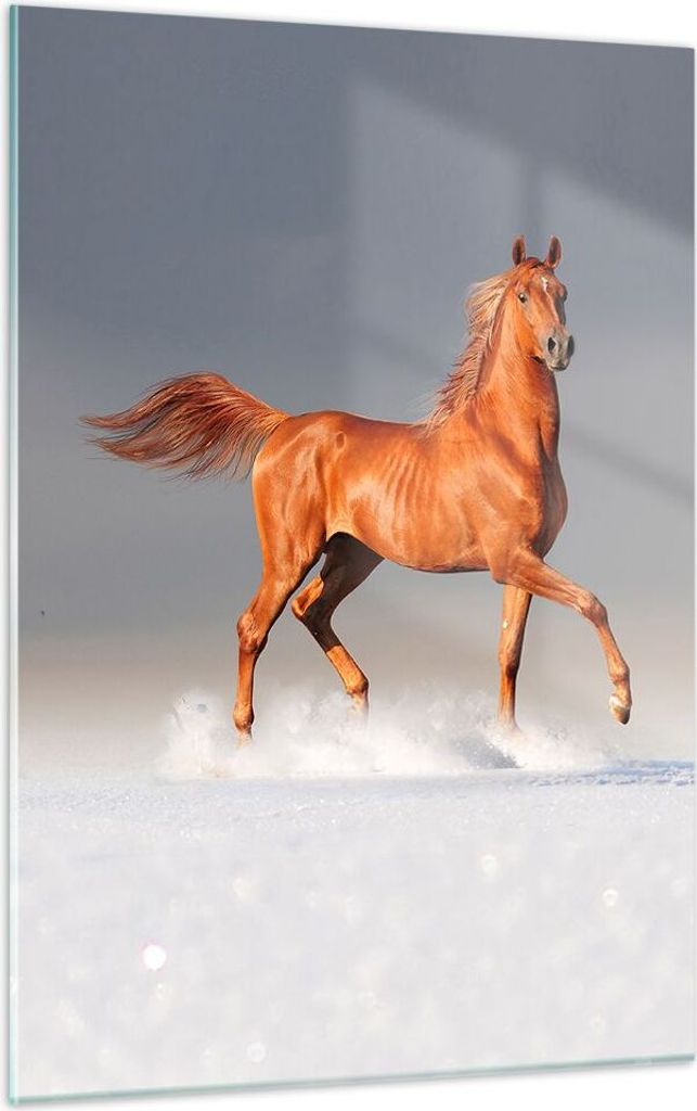 Bilder auf glas - Einteilig - Tiere Pferd Galopp Geschwindigkeit - 50x70cm - Glasbilder - Wandbilder - Bilder - Wanddekoration aus Glas - Glas Bild...