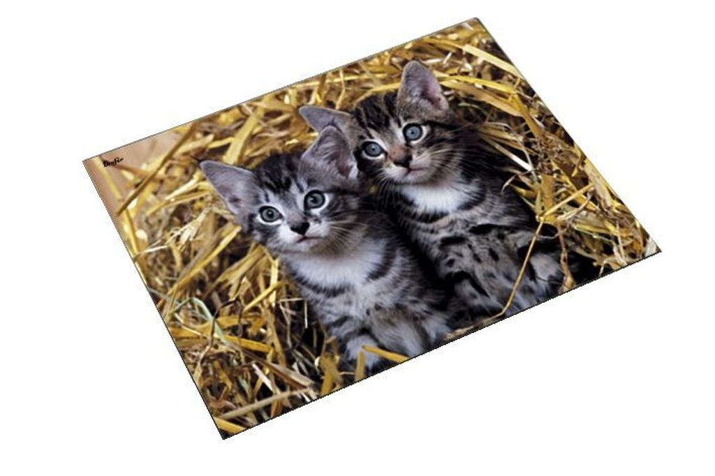 Läufer Schreibunterlage Katzen im Stroh 400 x 530 mm