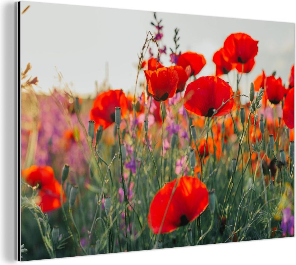 MuchoWow Wanddekoration Metall Metallbild Wandkunst 90x60 cm Mohn - Blumen - Rot - Lila - Wiese MuchoWow Aluminium Gemälde - Wandbilder