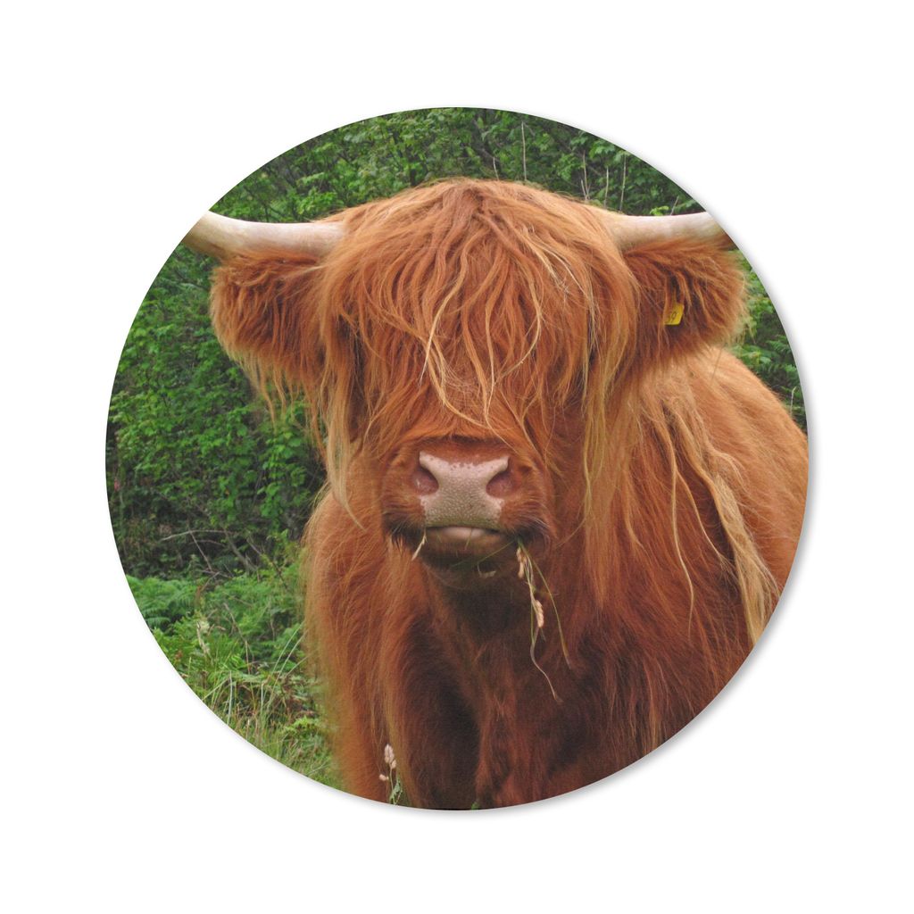 MuchoWow Mauspad Mousepad Schottischer Highlander - Kuh - Gras 20x20 cm - Mousepads - Maus Mat - Pad - Mausunterlage - Schreibtischmatte