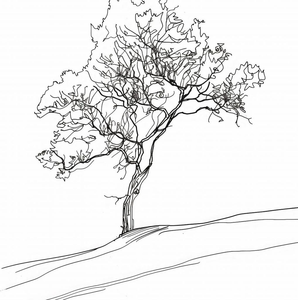 Plakat 40x40cm Baum im Umriss