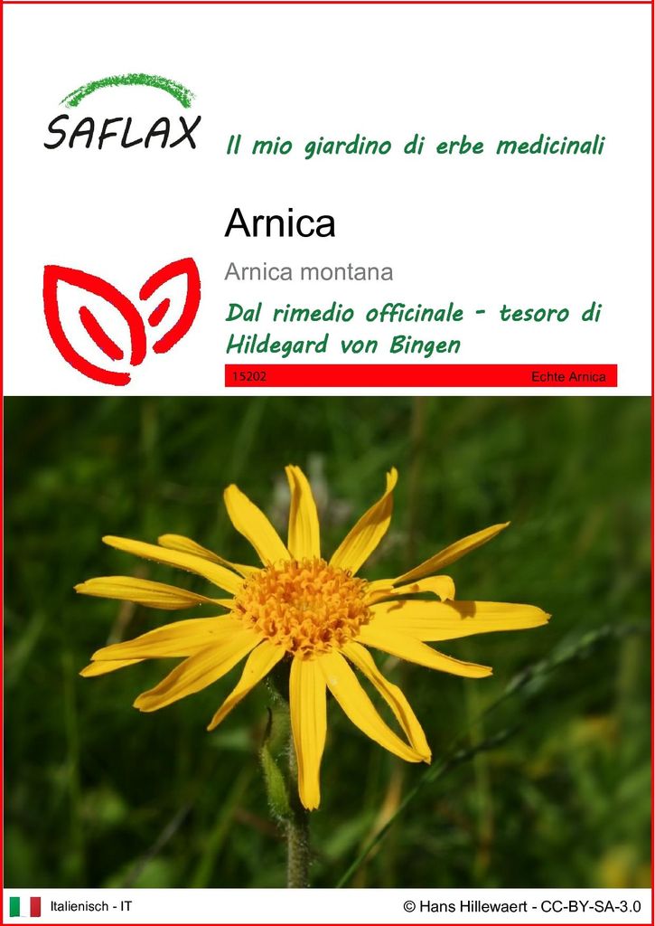 SAFLAX  - Arnica  - 40 semi - Arnica Immagine del prodotto 