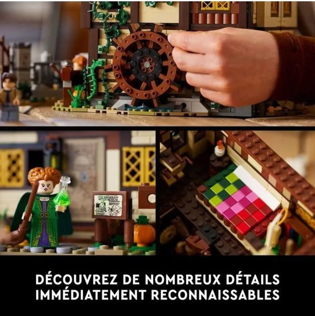 Jeu de construction La cabane Disney Hocus Pocus LEGO Ideas 21341