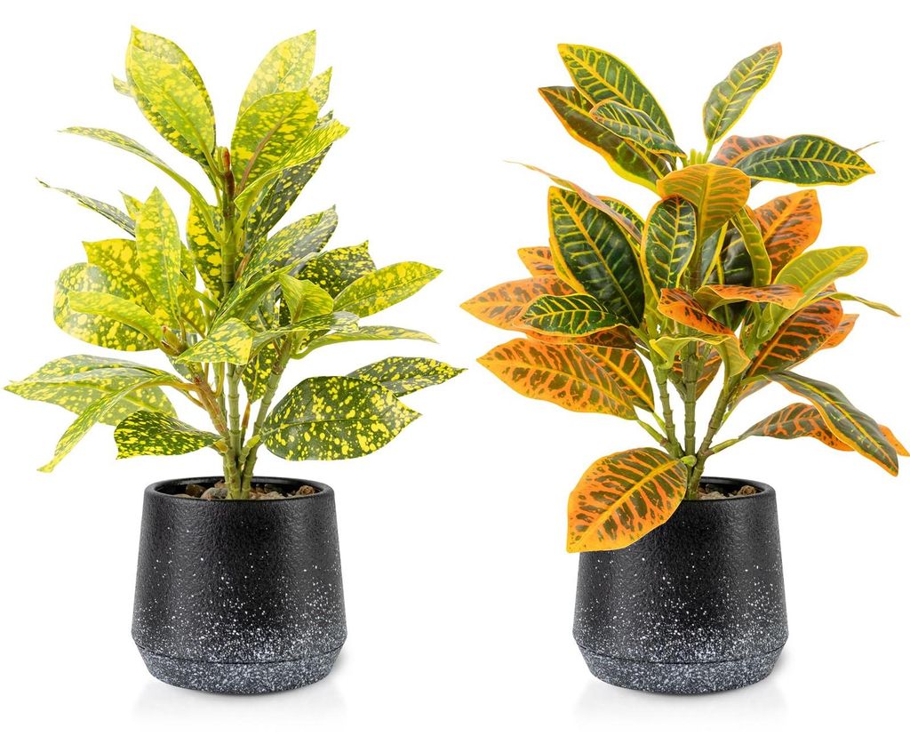 2 realistische künstliche Pflanzen, 29 cm, im Topf, immergrüne Zierpflanze, pflegeleicht für Büro, Badezimmer, Küche, Wohnzimmer (Codiaeum Var...