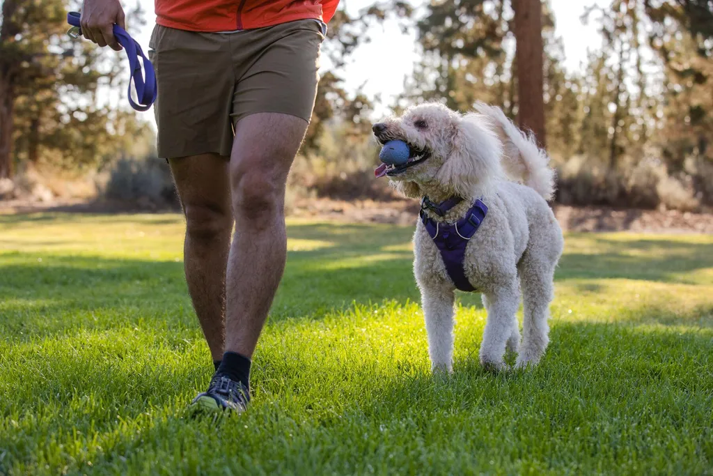 Jouet Chien Incassable Ruffwear Turnup Toy Violet : Finies les Balles Perdues