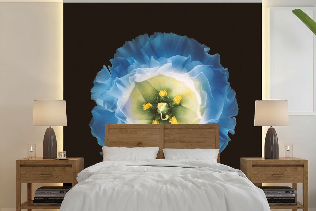 MuchoWow Fototapete für Wohnzimmer oder Schlafzimmer Wandtapete Vinyl Motivtapete Eine Nahaufnahme einer blauen Blume auf schwarzem Hintergrund ...