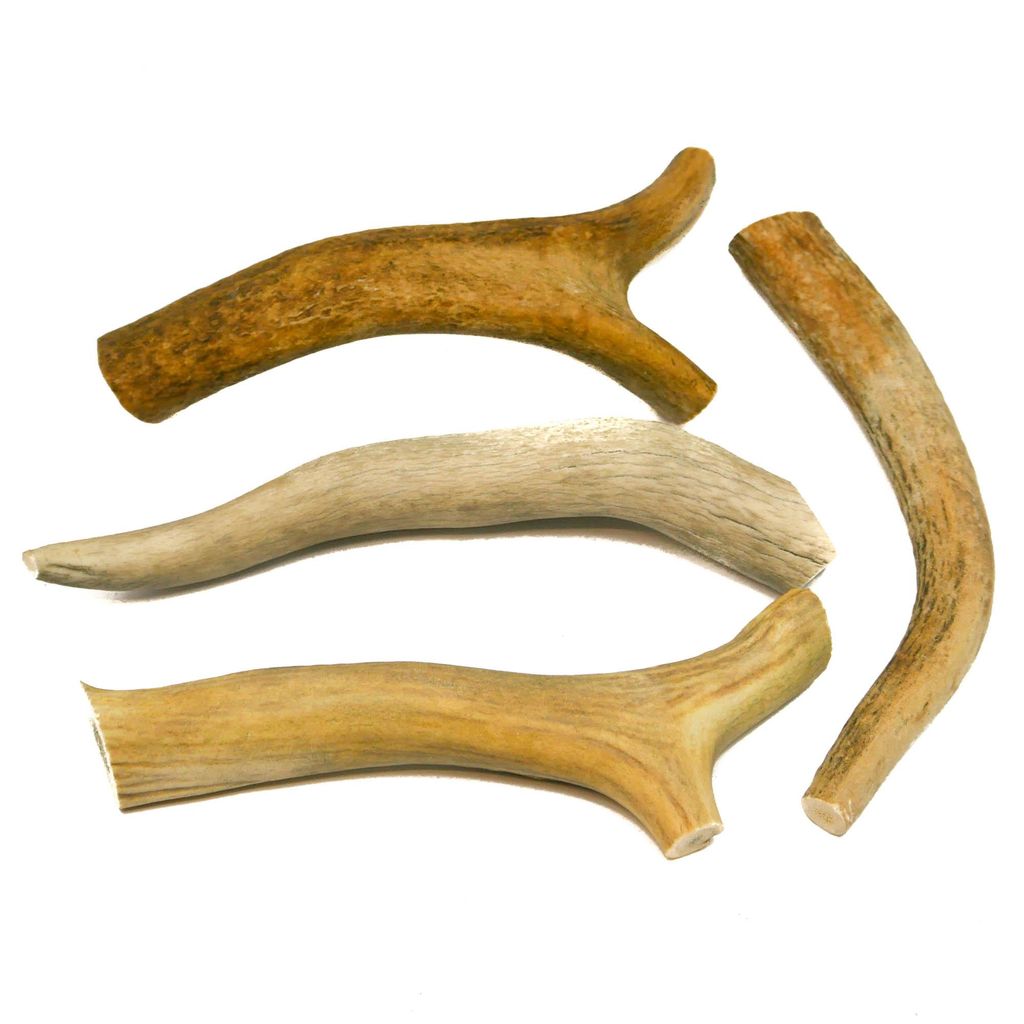 RF-Deer corna di cervo naturali, decorazione unica, Immagine del prodotto 