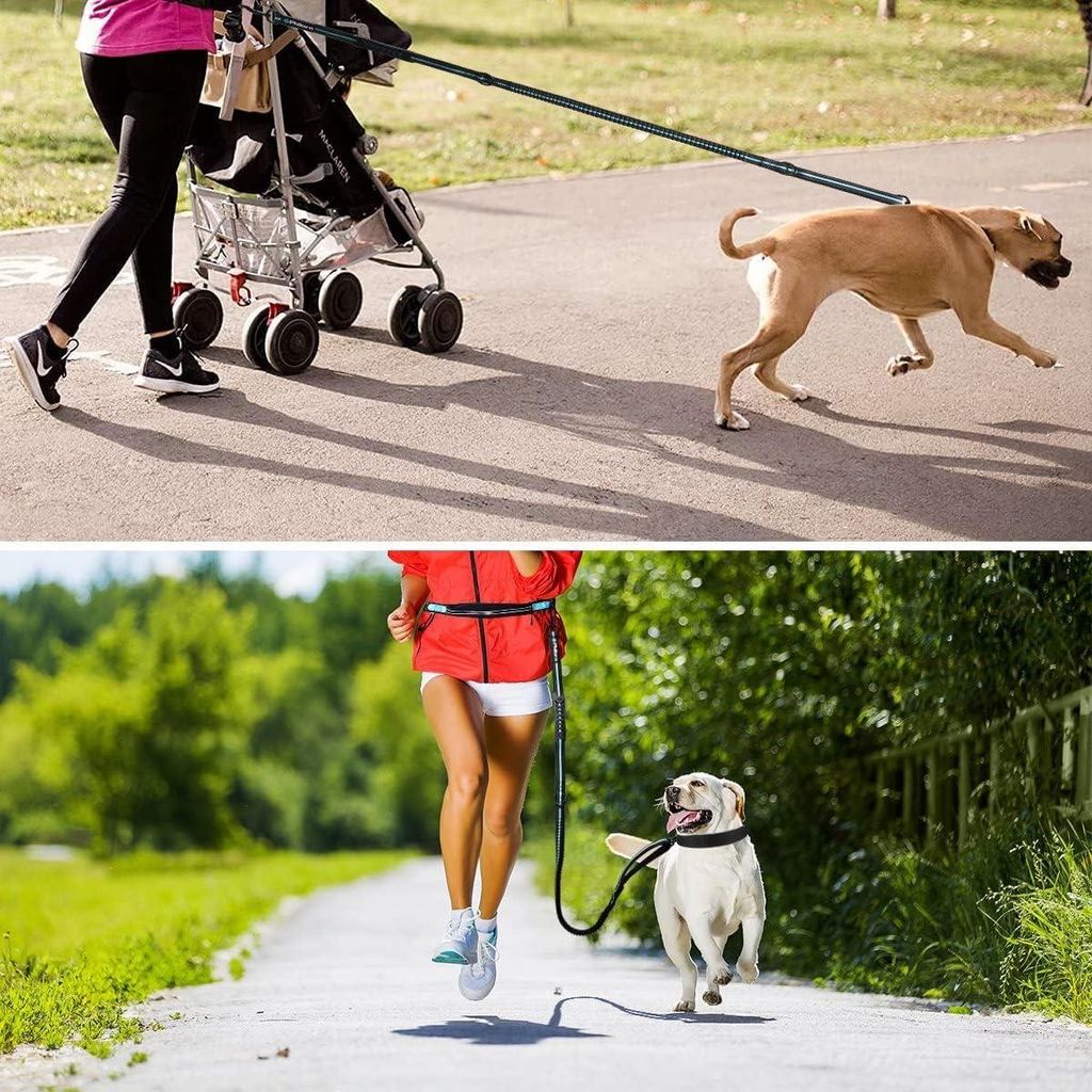 Hundenleine, 120 bis 170 cm, mit Riementasche, super elastisch, für große Hunde bis 65 kg, Joggingleine für Hunde, reflektierend, freihändige L...