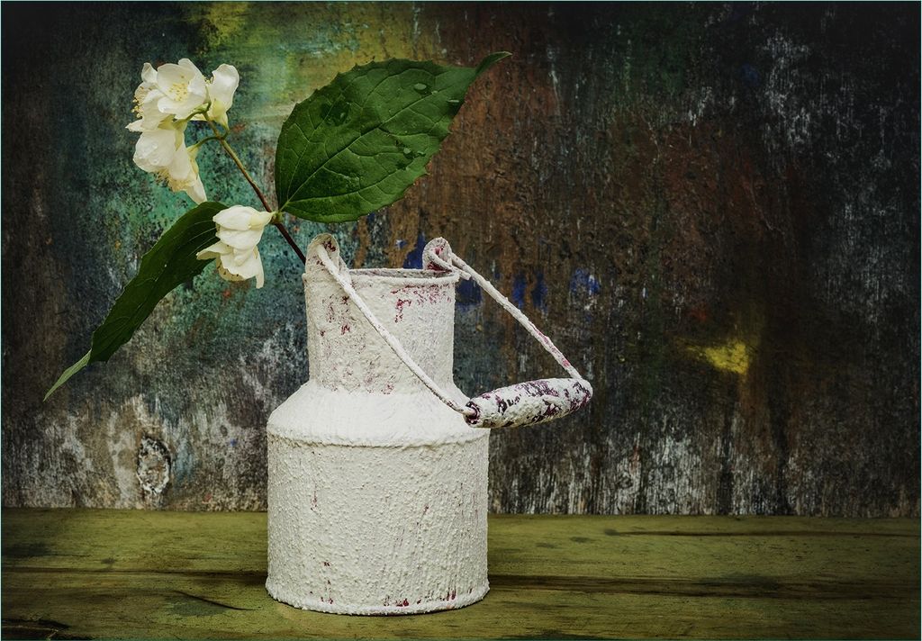 Wallario Fototapete Vliestapete, seidenmatte Oberfläche, einfache Verarbeitung, Größe 300 x 210 cm, Motiv Jasmin Blumen in einer alten Milchkanne