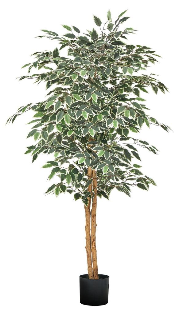 VEVOR Albero di ficus artificiale, 1524 mm, con vaso nero, Immagine del prodotto 