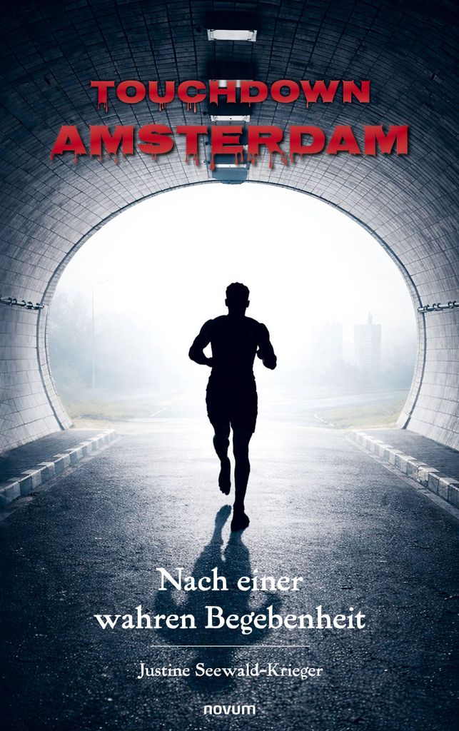 Touchdown Amsterdam: Ein Roman über den aufstrebenden Produktbild 
