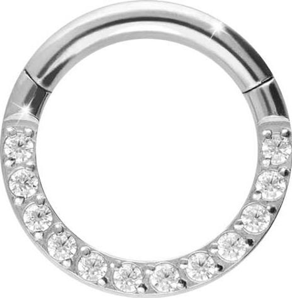 Ohrpiercing, Nasenpiercing, Septum Piercing Titan Segmentring Clicker EINGEFASSTE KRISTALLE WeißGold Innendurchmesser: 7 mm