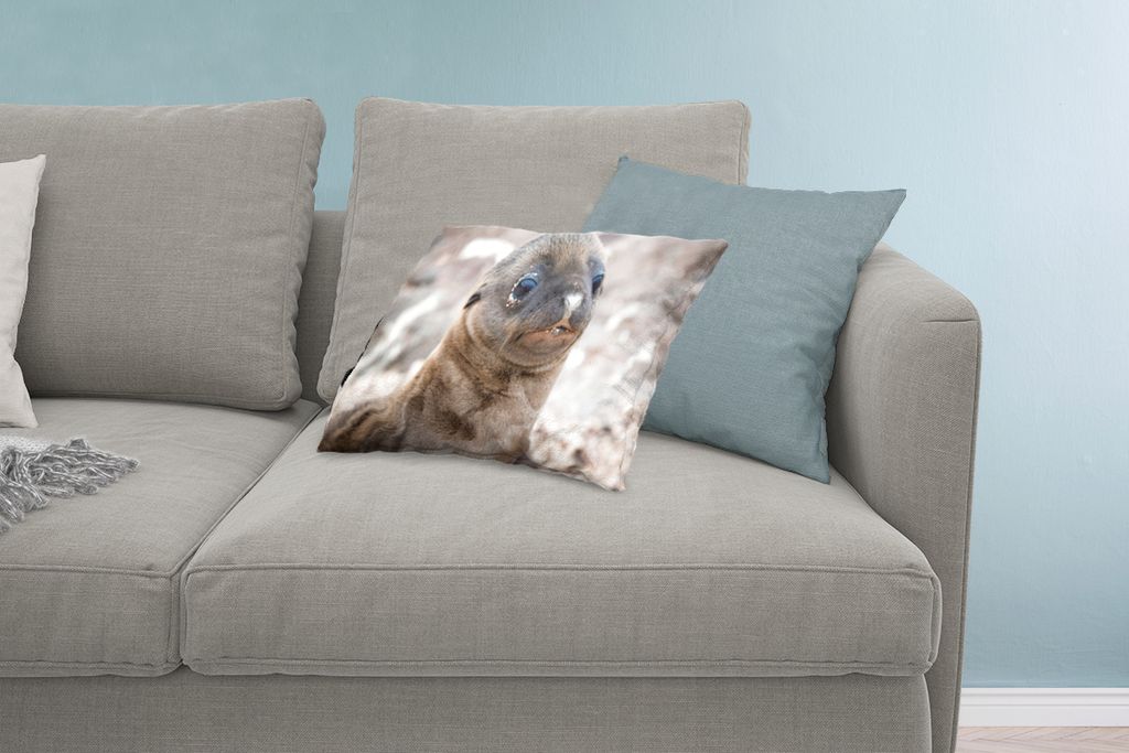 MuchoWow Zierkissen Sofakissen Wohnzimmer Dekokissen 60x40 cm Seelöwe - Jung - Strand - Kopfkissen - Polster mit Foto