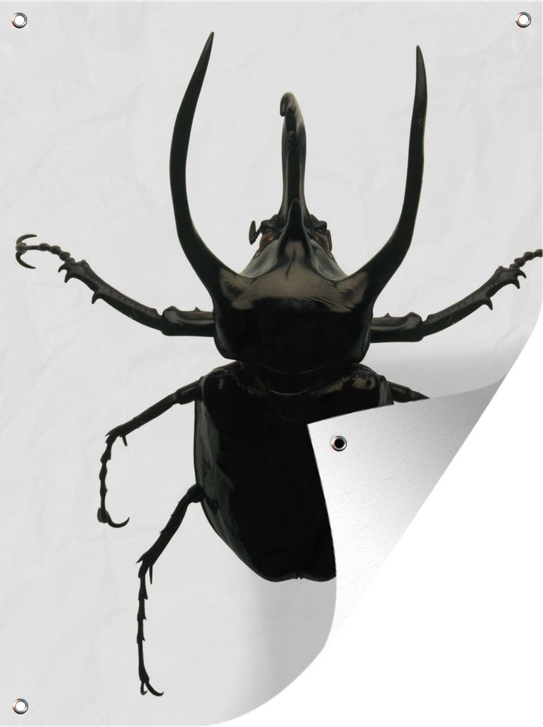 MuchoWow 30x40 cm Outdoor-Poster Gartendeko Sichtschutz Garten Poster für den Garten Großer Bockkäfer in Nahaufnahme