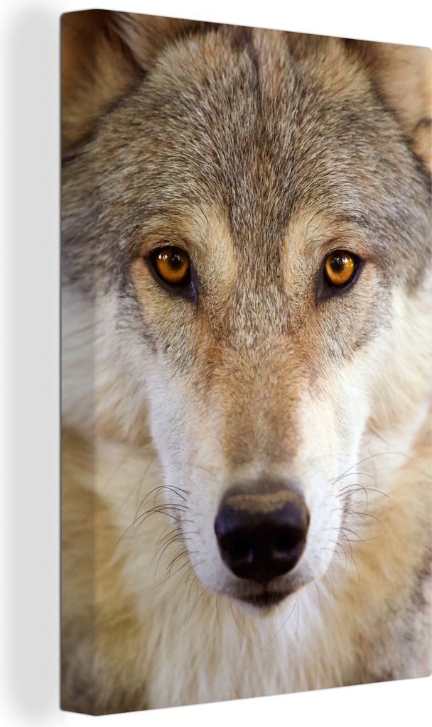 OneMillionCanvasses - Leinwandbilder - 90x140 cm, Wolf - Tiere - Braun, Wandbilder Kunstdruck Wanddekoration - Wandschmucke - Schlafzimmer