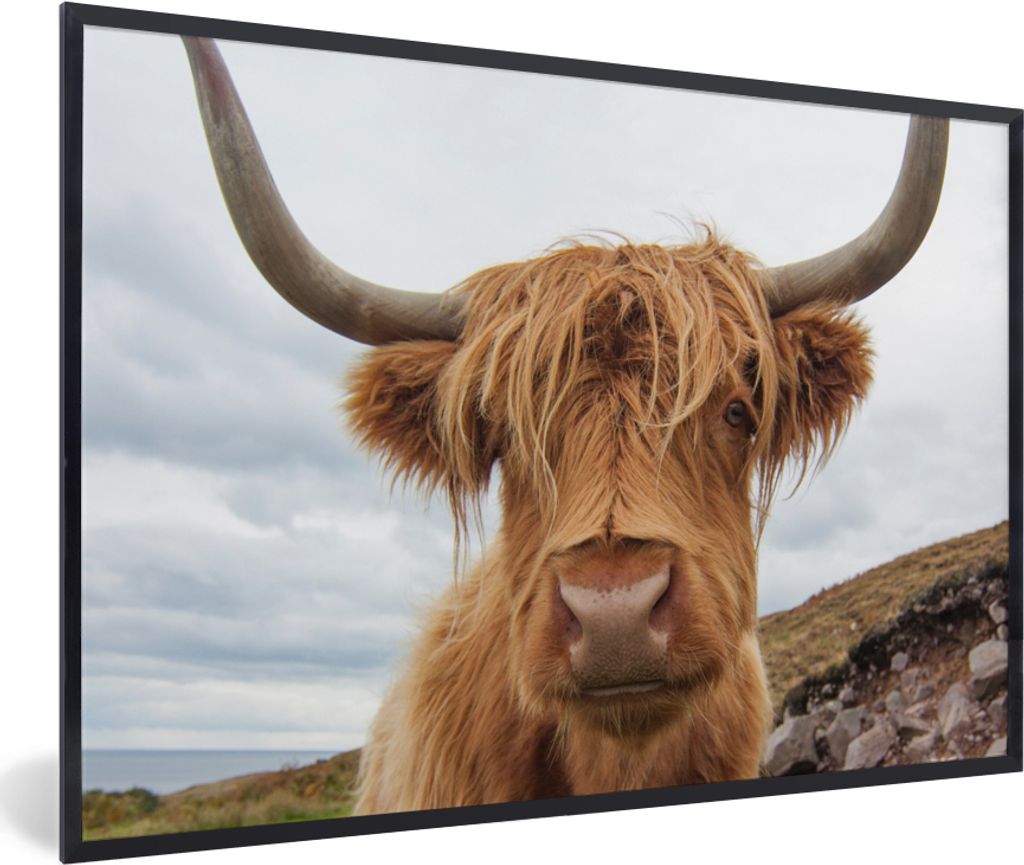 MuchoWow Gerahmtes Poster Schottischer Highlander - Kuh - Landschaft 30x20 cm - Poster mit Schwarzem Bilderrahmen Wandposter Rahmen Foto Bilder -...