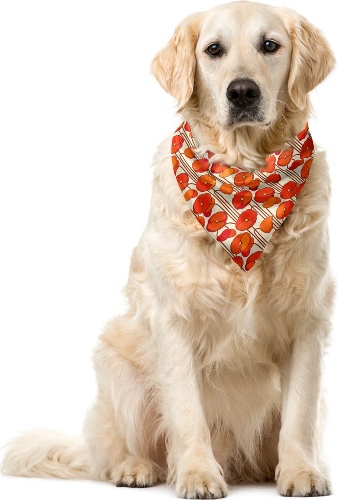 ABAKUHAUS Blumen Haustier Bandana, Mohnblumen Retro Frühling, 40x40 cm, Orange und Elfenbein