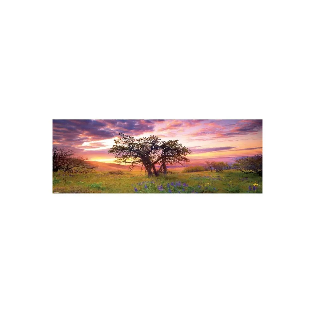 Puzzle Difficile 2000 pièces Oak Tree Edition Humboldt - Qualité Premium - 2