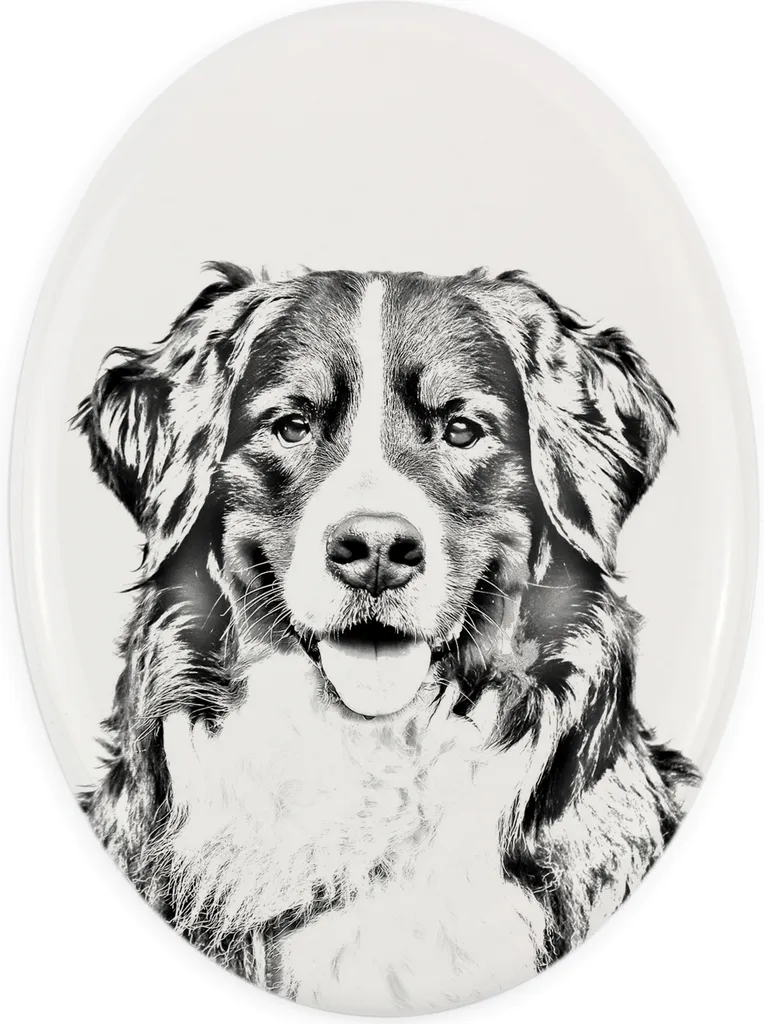 Targa Ovale Pastore Bernese Art-Dog | Lapide Cane Personalizzata Shop