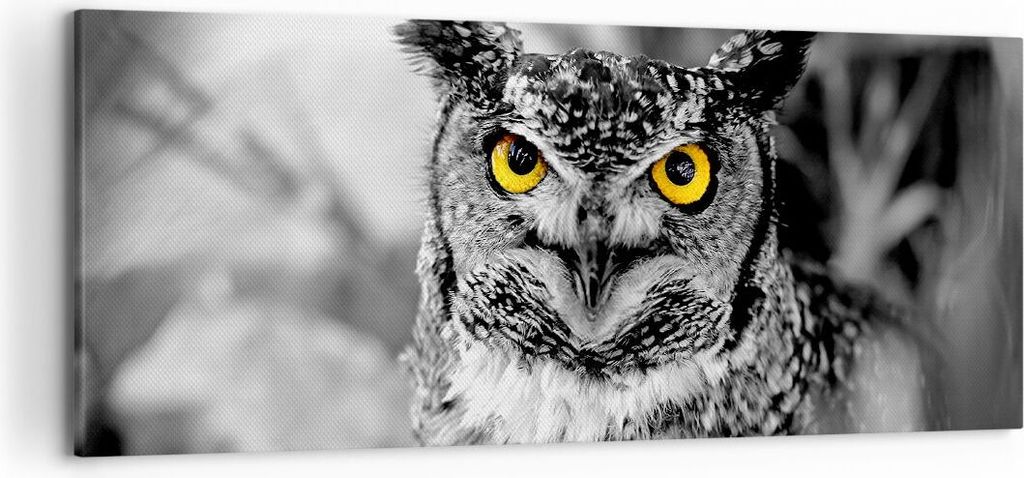 Bild auf Leinwand - Leinwandbild - Eule Vogel Natur - 120x50cm - Wand Bild - Wanddeko - Wandbilder - Leinwanddruck - Bilder - Kunstdruck - Wanddeko...