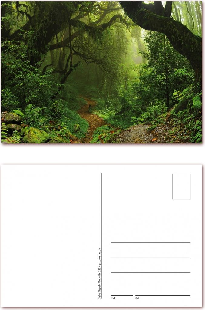 12 Stück Postkarten Motiv grüner Urwald in Nepal, Ansichtskarten im DIN A6 Format ( PKT-131 )