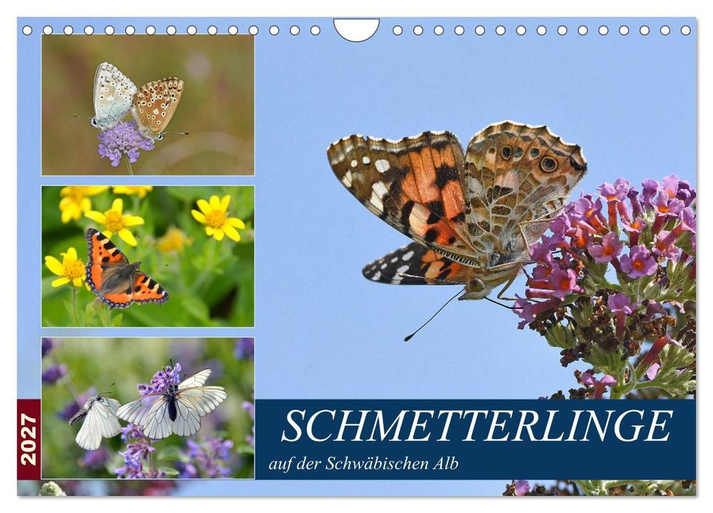 Schmetterlinge auf der Schwäbischen Alb (Wandkalender 2027 DIN A4 quer), CALVENDO Monatskalender