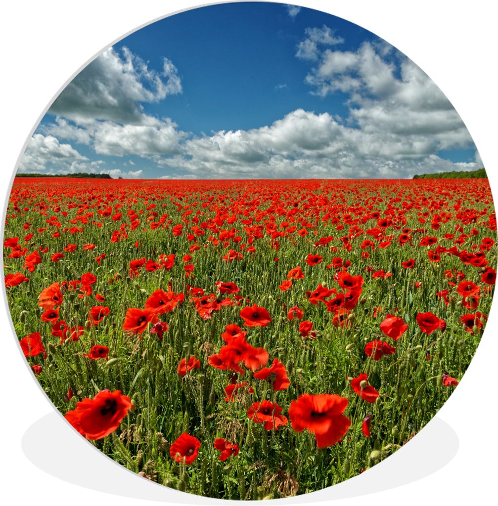 MuchoWow Rundes Wandbild - Runde Bilder Schneeweiße Wolken über einem Mohnblumenfeld Ø 60 cm Kreis Wanddekoration Kunststoff - Wandkreis - Wan...