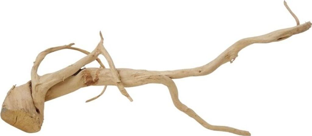 XXL Moorkienwurzel Nr.9812 Holz Deko Aquascaping