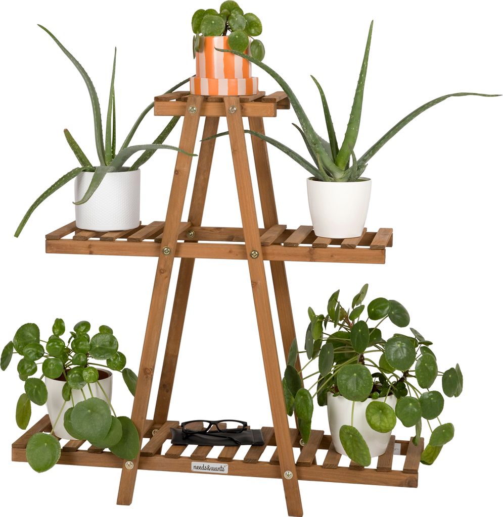 A wooden plant stand with several potted plants on it, set against a white background.
