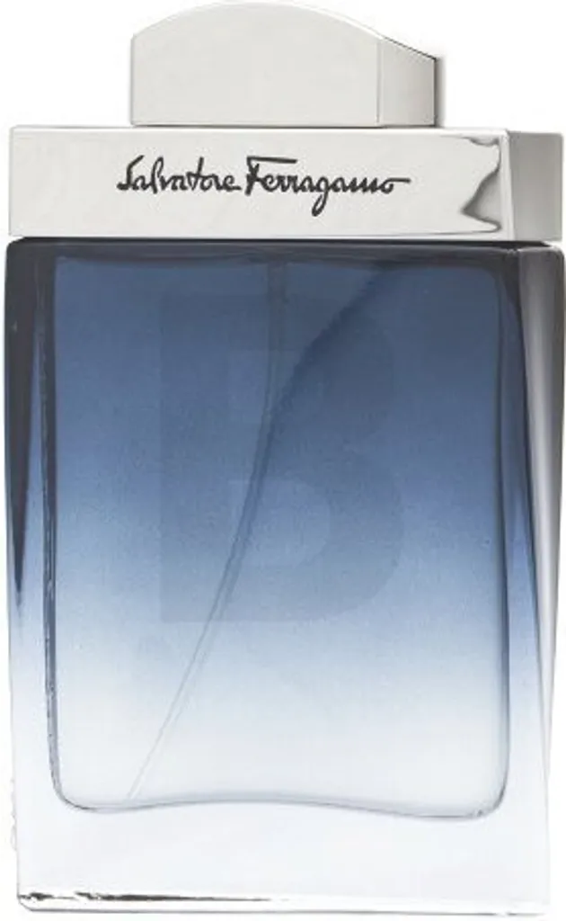 Subtil Pour Homme Ferragamo Eau de Toilette 50 ml aux Notes Boisées