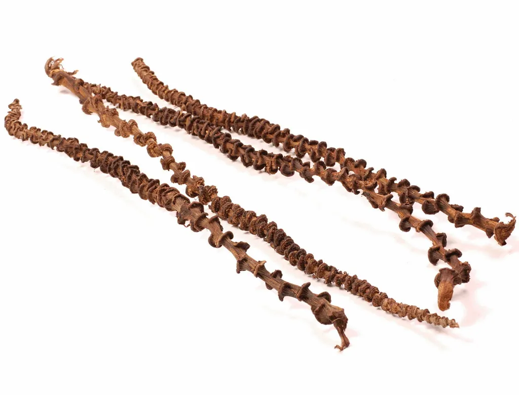 Decorazione Naturale Liana Banano 35-45 cm - Per PaPug Felici