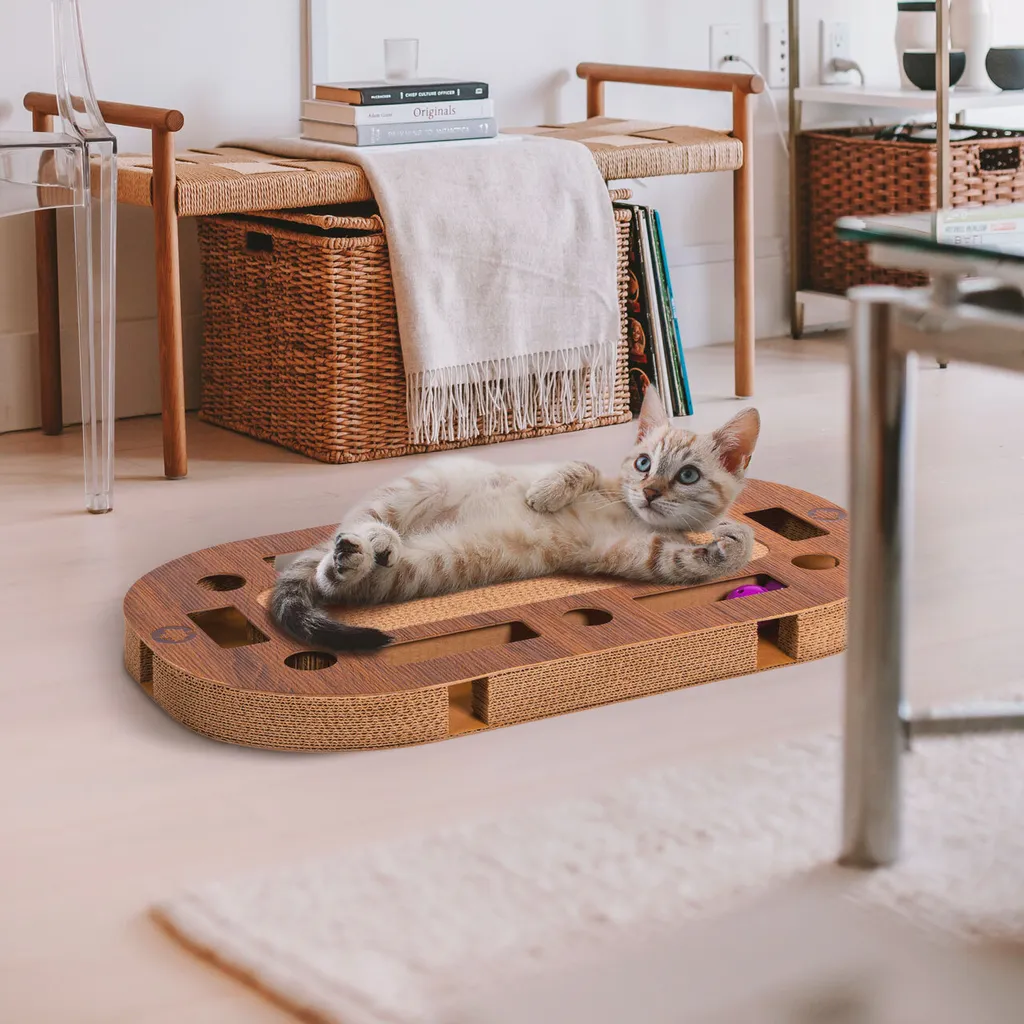 Recensione PlayPlate MEDIUM Canadian Cat - Tiragraffi e Gioco - 3