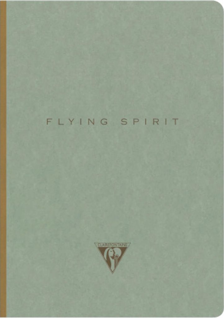 Clairefontaine 5x Notizbuch A5 14,8x21cm, 96 Bl liniert, 90g, Graugrün 107546C