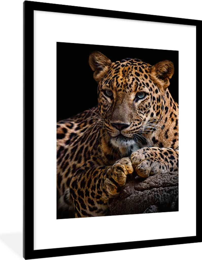 MuchoWow Gerahmtes Poster Wildtiere - Panther - Porträt - Schwarz - Tiere 60x80 cm - Poster mit Schwarzem Bilderrahmen Wandposter Rahmen Foto Bi...