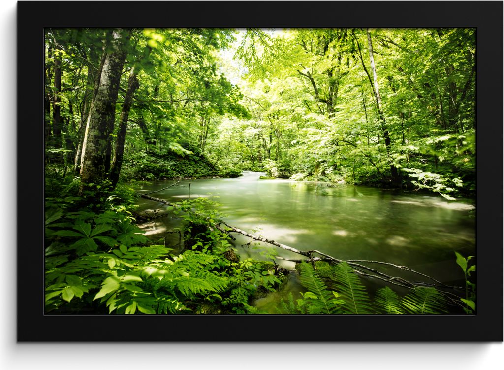 MuchoWow MuchoWow Gerahmtes Poster Wald - Baum - Wasser 30x20 cm - Poster mit zchwarzem Bilderrahmen - Kunstdruck - Bild-Poster