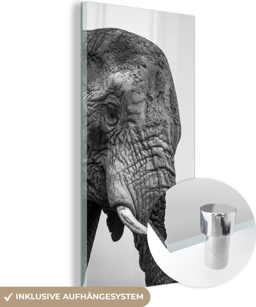MuchoWow Glasbilder - Bilder auf Wandbild - Foto auf Glas Neugierige Elefanten in Schwarz und Weiß 40x80 cm Wanddekoration aus Glas - Acrylglasbil...