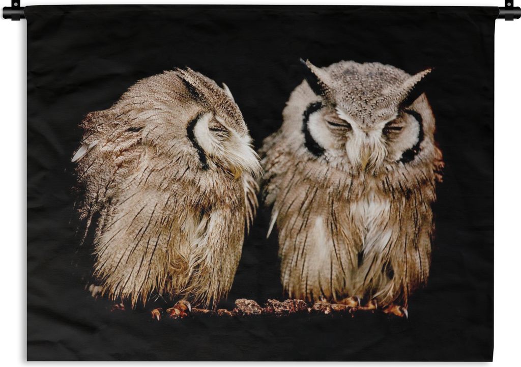 MuchoWow Wandteppich Wandbehang Eule - Vogel - Schwarz 120x90 cm Tapisserie Dekoration Wandtuch - Wohnen - Aufhänger für die Wand