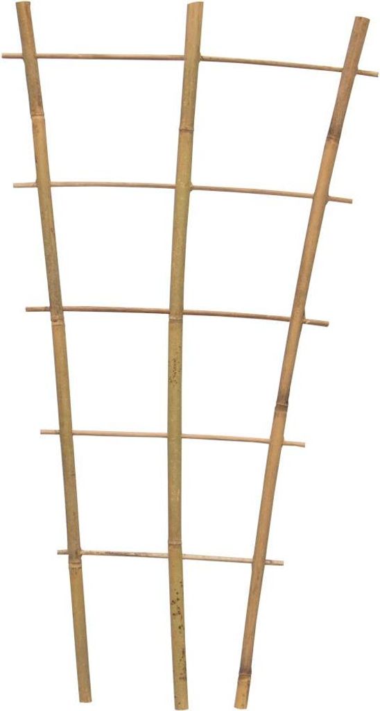 Bambus Rankgitter 60 cm 60 x 28 x 12 cm Produktbild 