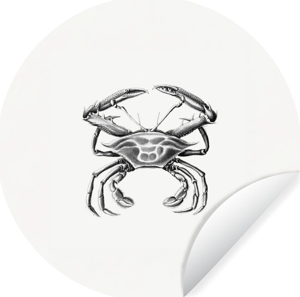 MuchoWow Runde Wandtattoo - Wandsticker Tapete Aufkleber Ernst Haeckel - Jahrgang - Kunst - Krabbe Ø 30 cm Selbstklebend und Repositionierbar - ...