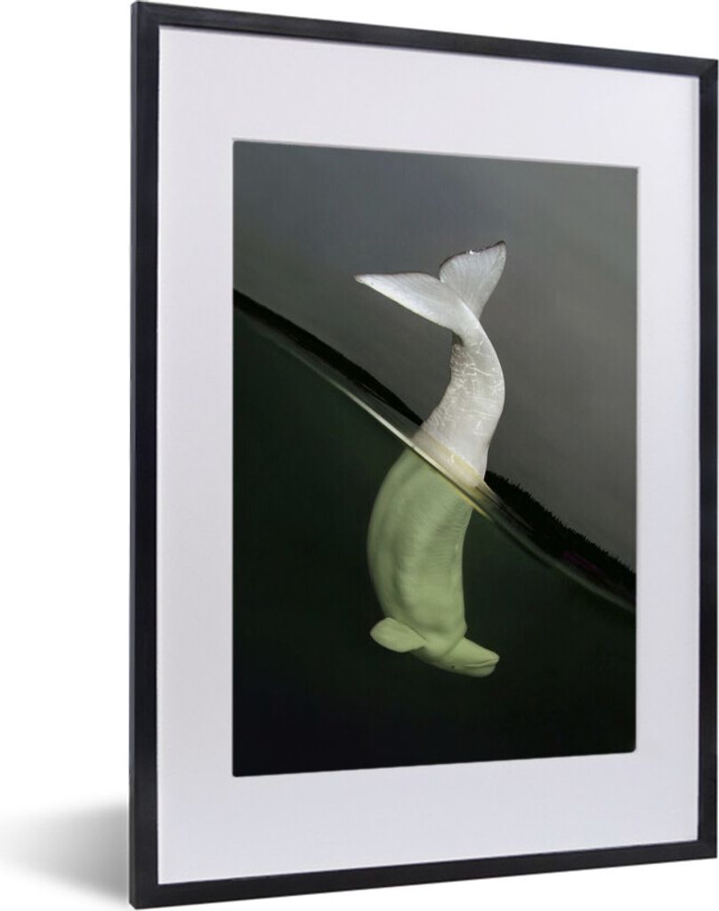MuchoWow MuchoWow Gerahmtes Poster Delfin - Wasser - Weiß 30x40 cm - Poster mit zchwarzem Bilderrahmen - Wandposter Schlafzimmer