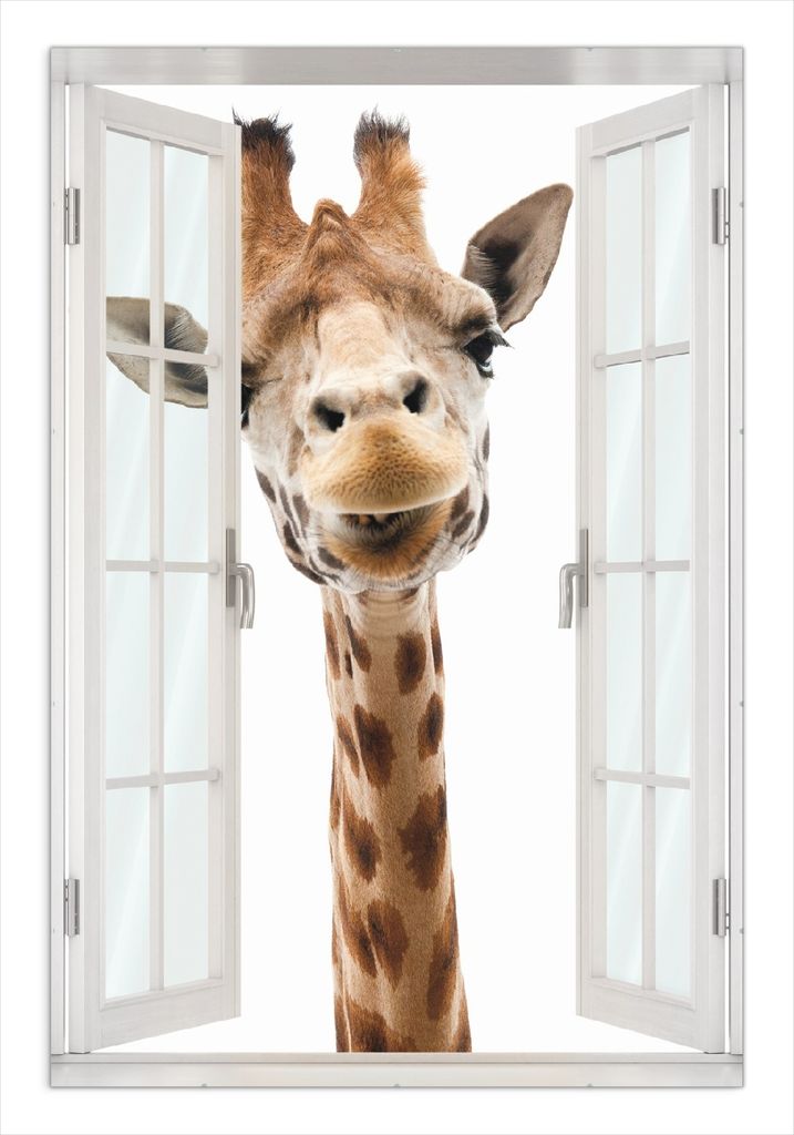 Wallario Wandbild mit Fenster-Illusion: Giraffenkopf, Größe: 61 x 91,5 cm, Poster mit rahmenlosen Bildhalter