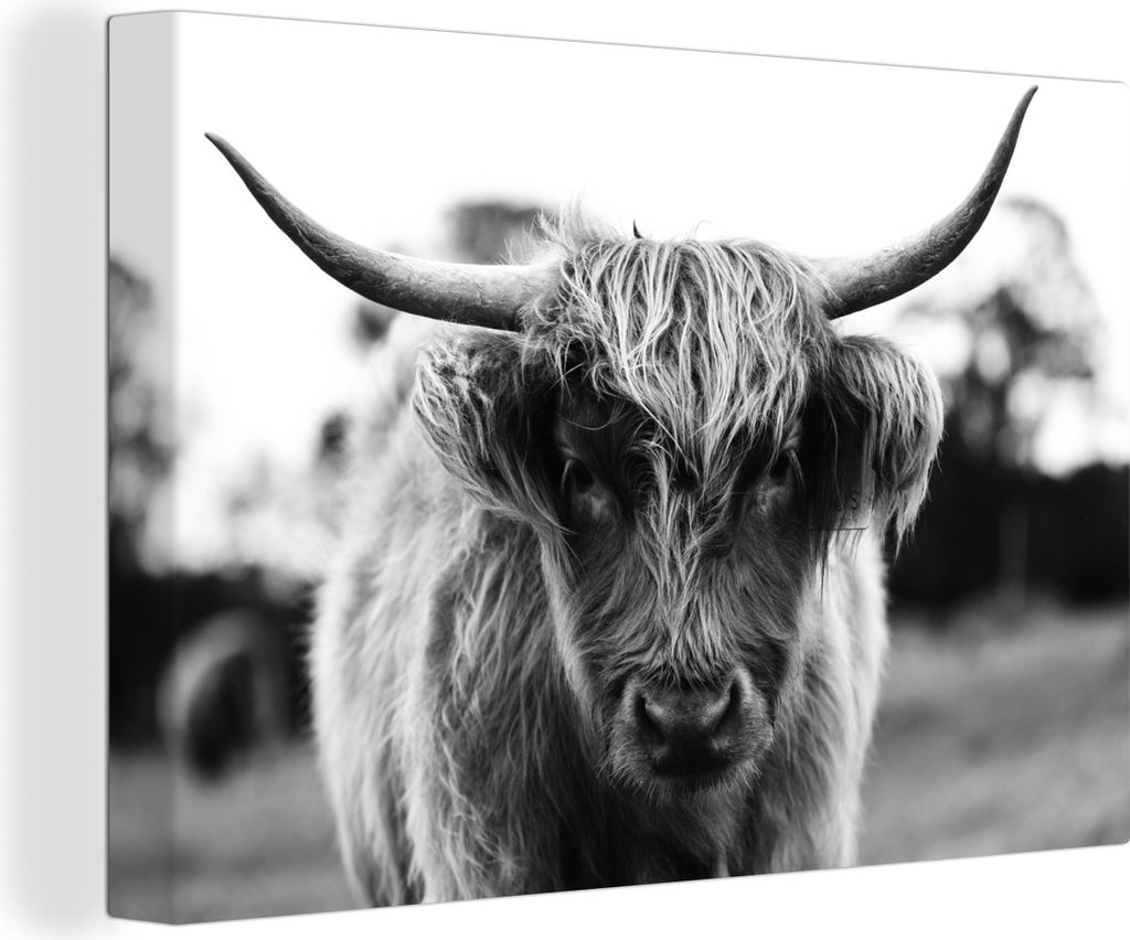 OneMillionCanvasses - Leinwandbilder - 140x90 cm, Schottisches Hochlandrind - Kuh - Gras - Tiere - Natur, Wandbilder Kunstdruck Wanddekoration