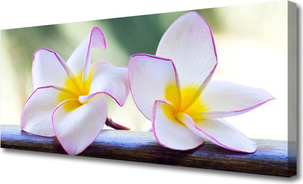 Tulup Leinwand-Bilder 125x50 Wandbild Canvas Kunstdruck Blumen Pflanzen