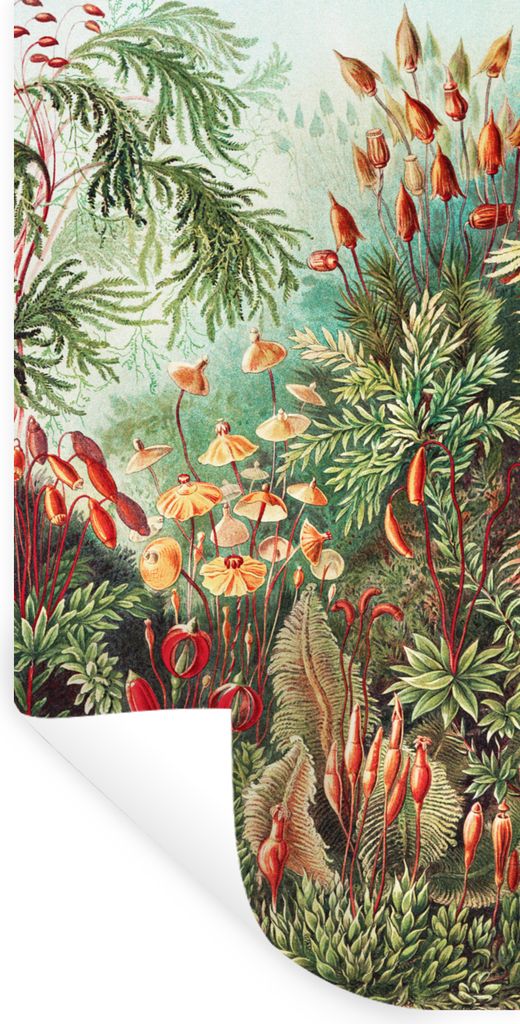 MuchoWow Wandtattoo Wandsticker Wandaufkleber Blumen - Kunst - Vintage - Natur - Botanisch 80x160 cm Selbstklebend und Repositionierbar - Sticker...