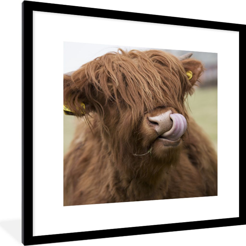 MuchoWow Gerahmtes Poster Schottischer Highlander - Braun - Tiere 40x40 cm - Poster mit Schwarzem Bilderrahmen Wandposter Rahmen Foto Bilder - Po...