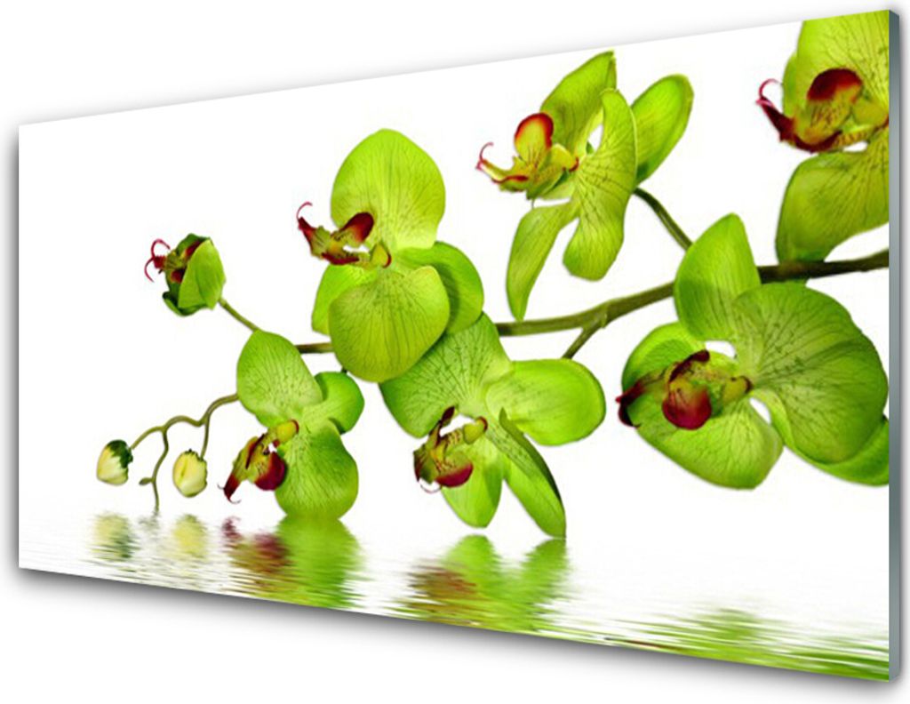 Acrylglasbilder 100x50 Wandbild Druck Blumen Pflanzen Produktbild 