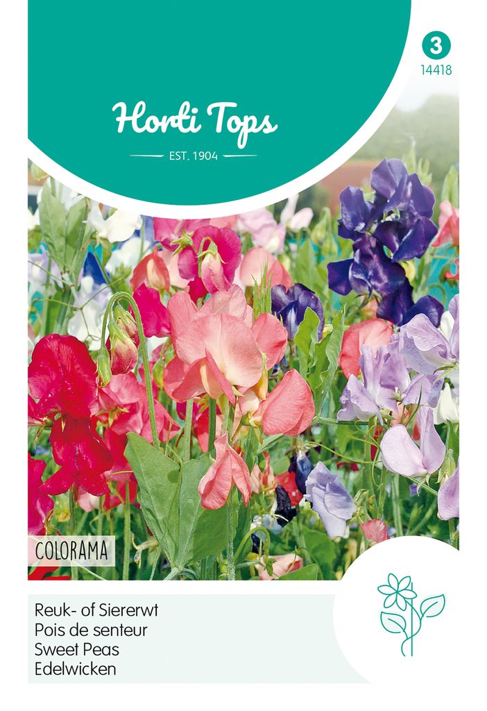 Edelwicken Colorama Mischung | Blumensamen von Hortitops