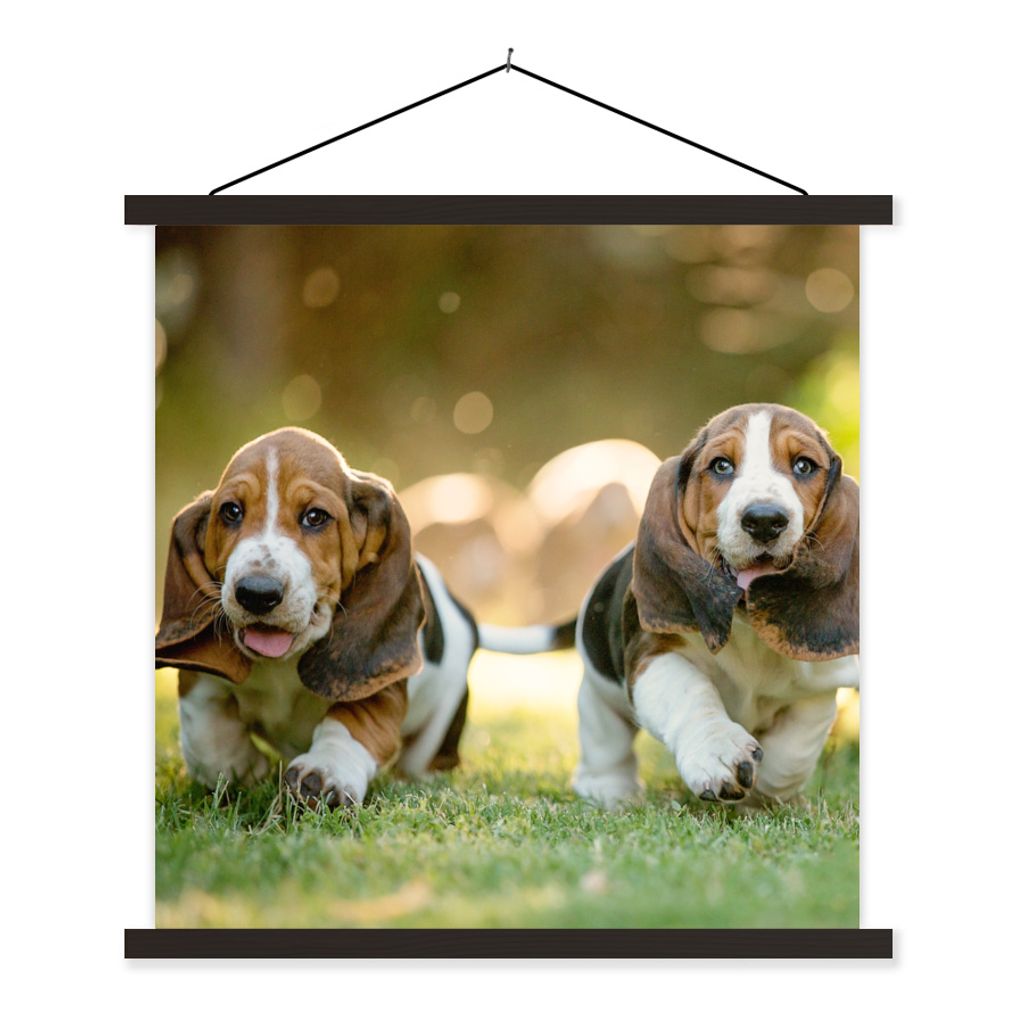 MuchoWow Textilposter Welpen rennen durch das Gras 90x90 cm mit schwarzem Rahmen - Magnetisches
